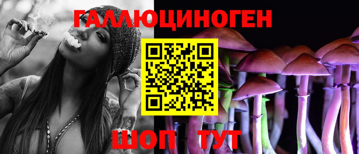 Галлюциногенные грибы Cubensis Зеленогорск